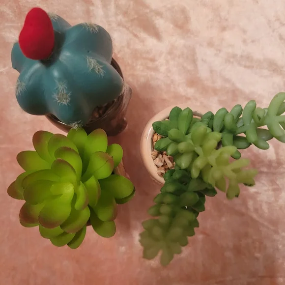Kohl's Celebrate Together™ Valentine's Day Artificial Succulent Planter 3-pieces - Picture 12 of 16